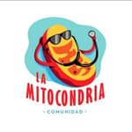 La Mitocondria