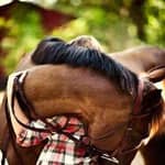 صور چميلـه مع شوية گلآم💭📯