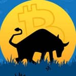 Bulls Unleashed