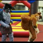 Fursuit gifs