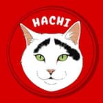 Hachi The Cat Entry