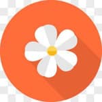 花花免费全球综合机器人 通知频道