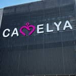 Camelya Fashion
