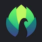 Peafowl Themes Discussion