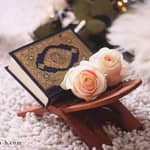 Learning tafsiir (participation)