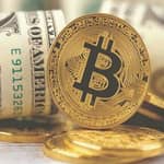 NFT MINT AND CRYPTO INVESTMENT