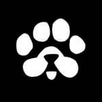Paws Pawsag MEMEFI & HOT & Blum & Major & hamster & Yescoin & MoonBix memefi & Time Farm Airdrops Mining Projects Daily Updates