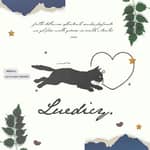 Luedicy's catalogue.
