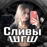 ШГШ СЛИВЫ