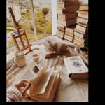 Novels Books