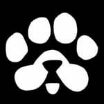 اخبار ایردراپ پاوس.Dogs cats paws