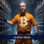 Avallon Miner