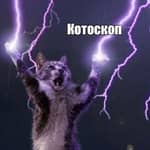 котоскоп